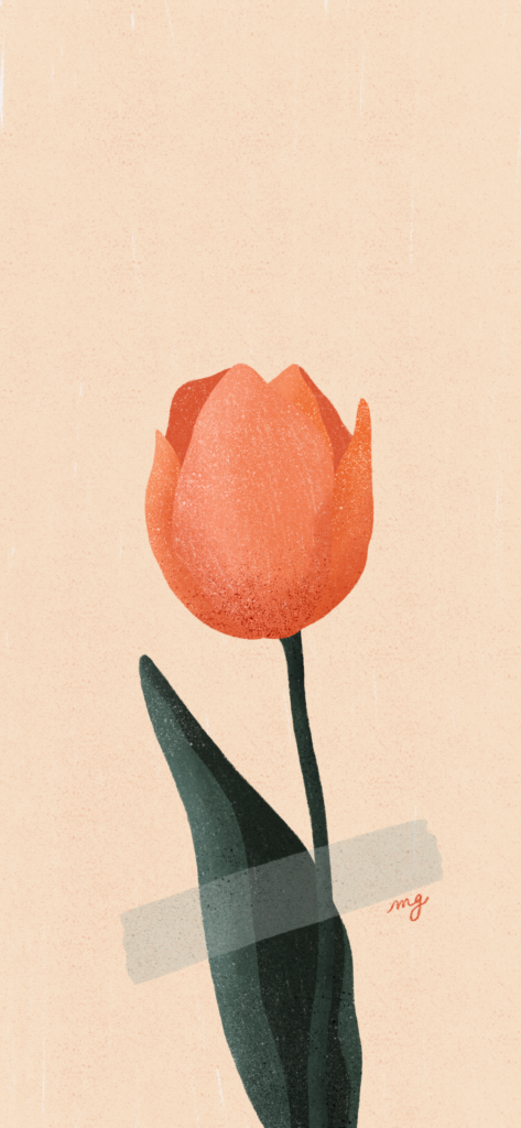 Tulipe orange